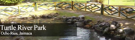 Turtle River Park